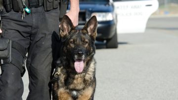 A,K9,Police,Officer,With,His,Dog.