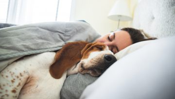 Girl,And,Dog,Sleeping,Together,Comfortably,And,Cuddled,In,Bed