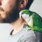 Cropped,Photo,Shoot,Of,Beard,Men,Profile,With,His,Pet