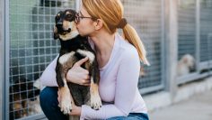 Young,Adult,Woman,Holding,Adorable,Dog,In,Animal,Shelter.